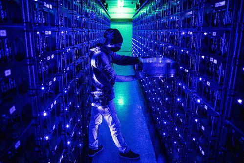 A well-structured mining farm showcasing various mining rigs