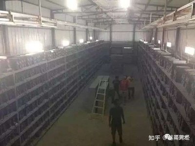 A large-scale hosting farm optimally housing Litecoin mining machines
